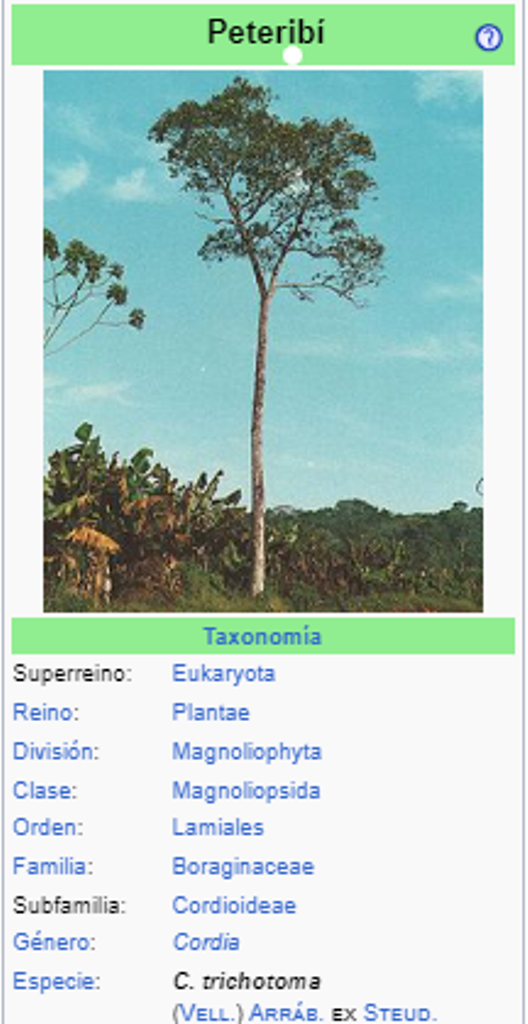 PETEREVY - Cordia trichotoma